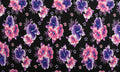 Multicolor Tiare/Hibiscus | Sarong Purple/Pink