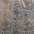 Monstera Leaf Tiara | Polyester Foil Printed Fabric