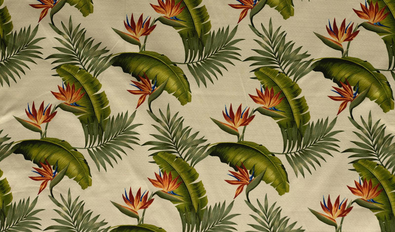 Birds of Paradise Palm Banana Leaf | Upholstery Fabric